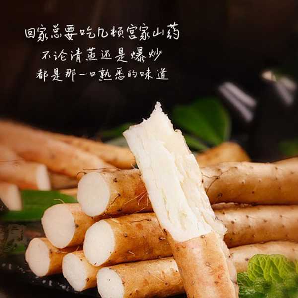 龚帆手写笔记体20250516-2-4