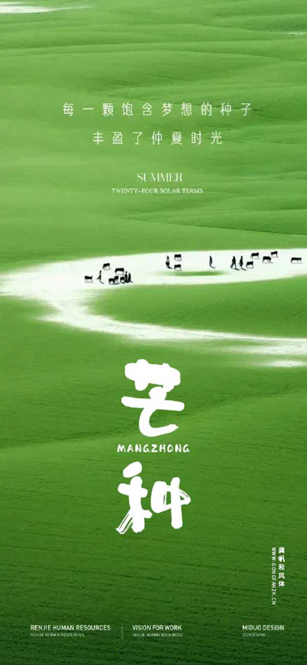 龚帆和风体20250528-1