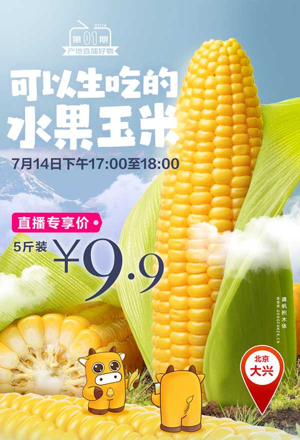 龚帆积木体20250611-2